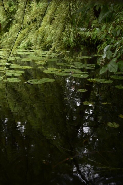 One with the nature